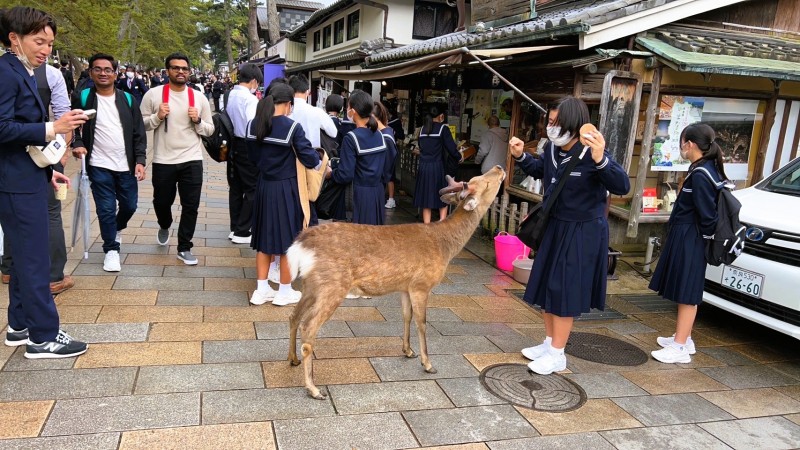 050419 修学旅行6