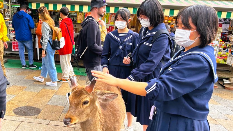 050419 修学旅行8