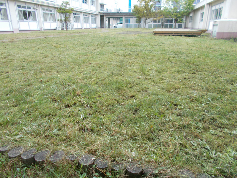 DSCN0671