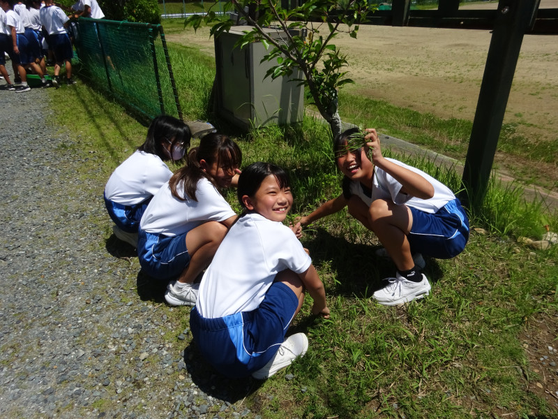 DSC00398